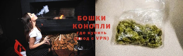 прущие грибы Армянск