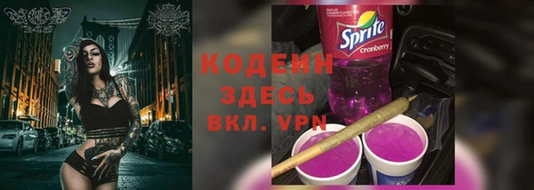 прущие грибы Армянск