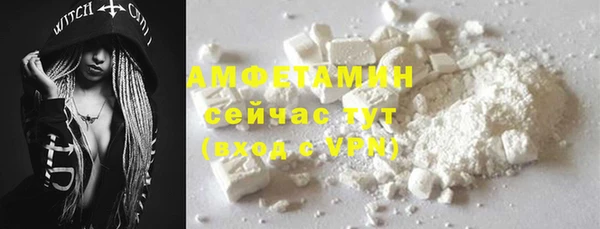 прущие грибы Армянск