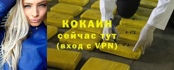 мет Арсеньев