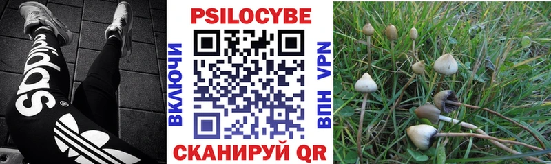 мега рабочий сайт  где можно купить наркотик  Гурьевск  Псилоцибиновые грибы мухоморы 